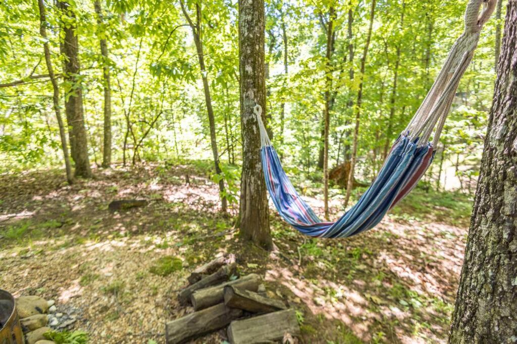 Pet Friendly Luxury Cabin Near Helen With Fire Pit Cleveland Luaran gambar