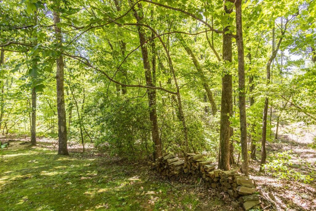 Pet Friendly Luxury Cabin Near Helen With Fire Pit Cleveland Luaran gambar
