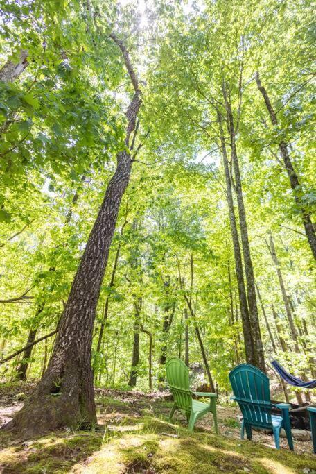 Pet Friendly Luxury Cabin Near Helen With Fire Pit Cleveland Luaran gambar